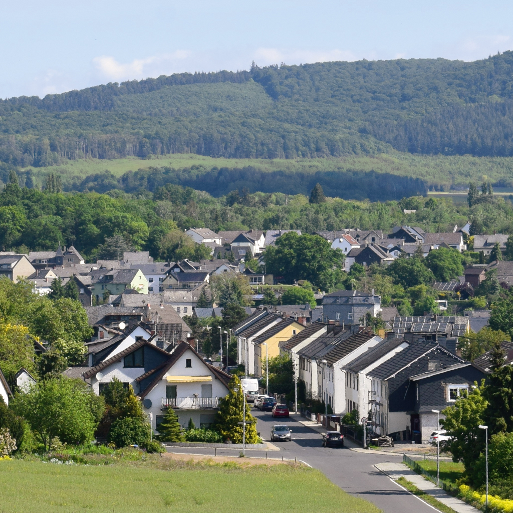 Häuser an einer Straße zwischen Bäumen